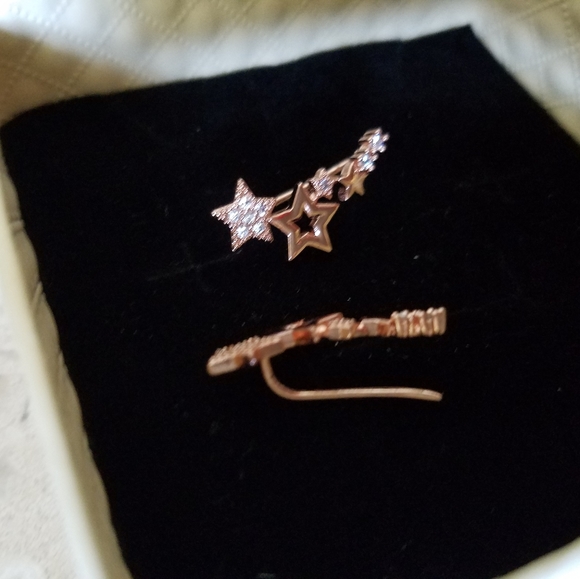 Rose Gold Micro Pave Star Crawler Earrings - Picture 7 of 7